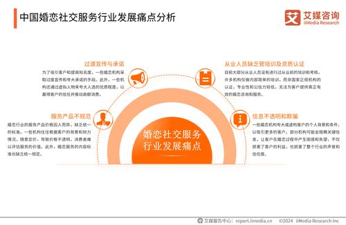 2024-2025年中國(guó)婚戀社交服務(wù)市場(chǎng)研究報(bào)告 趨勢(shì)、挑戰(zhàn)與機(jī)遇